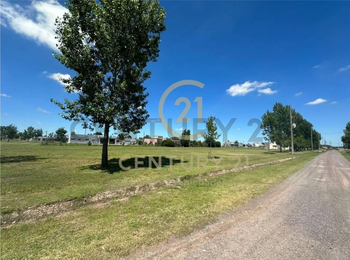 Foto de Lote en venta, imagen 1