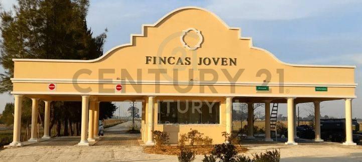 Foto de Lote en venta, imagen 3