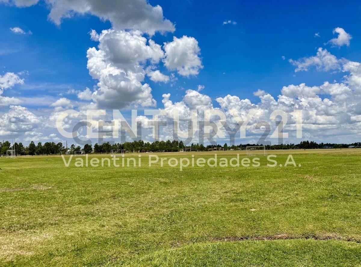 Foto de Lote en venta, imagen 3