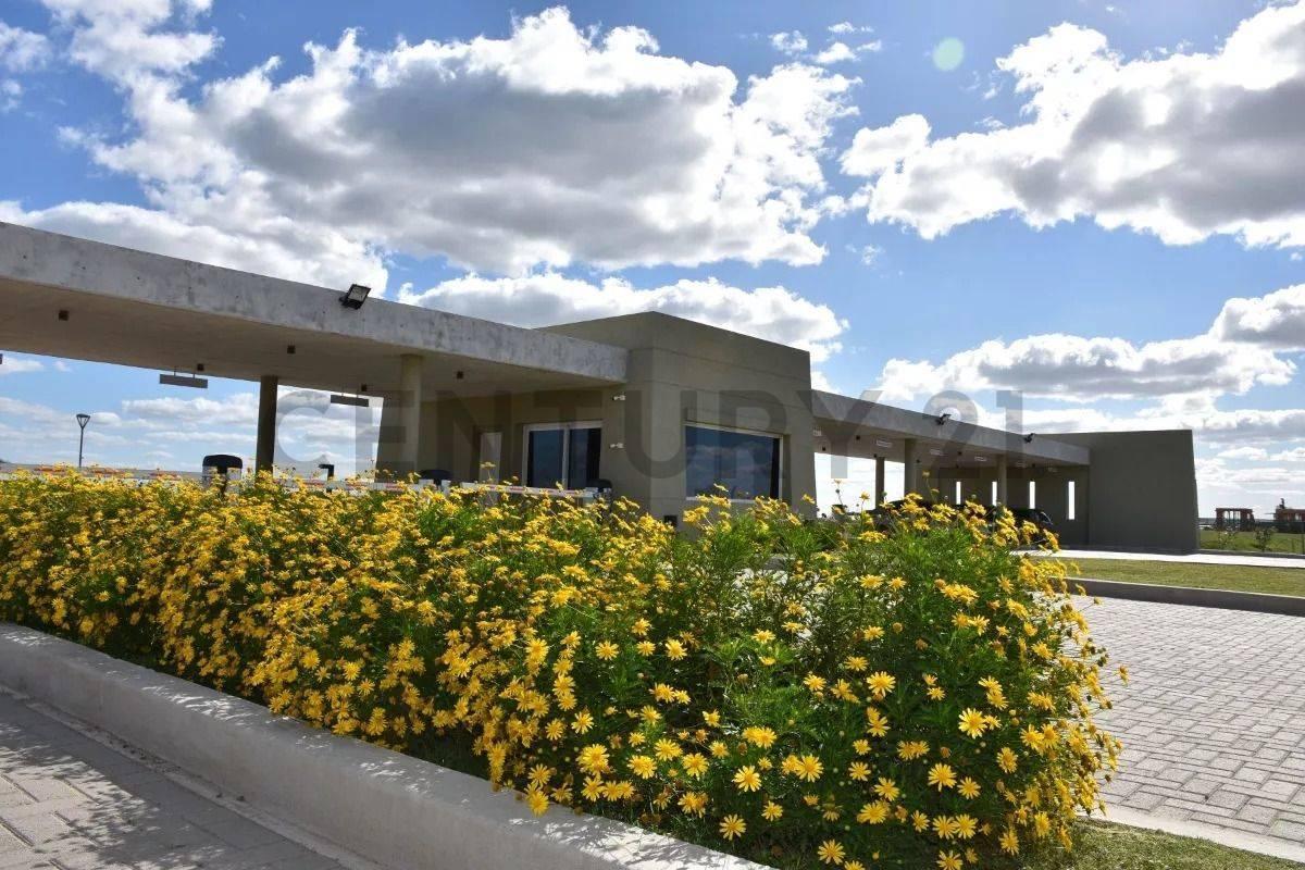 Foto de Venta de Lote en Santa Clara al Sur, San Vicente, imagen 5