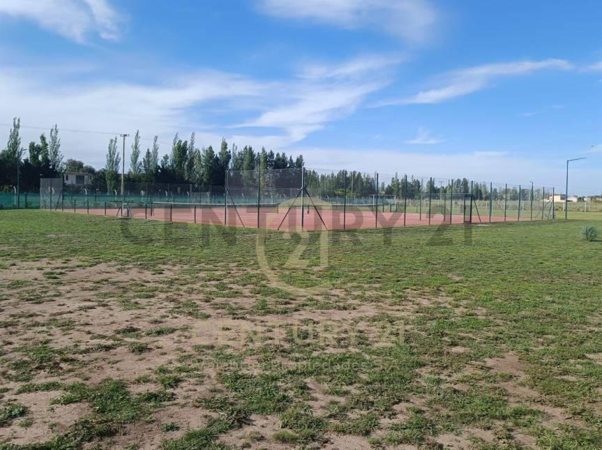 Foto de Lote en venta en Fincas Joven, San Vicente, imagen 5