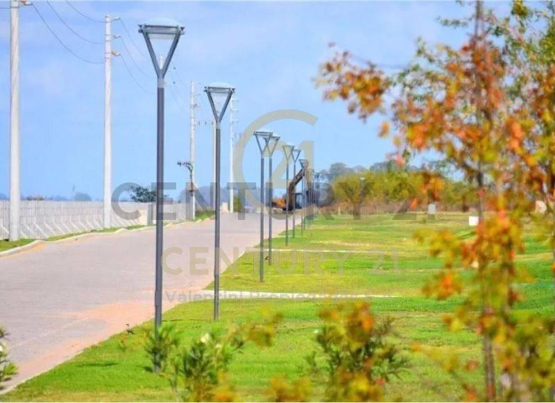 Foto de Lote en venta, imagen 5