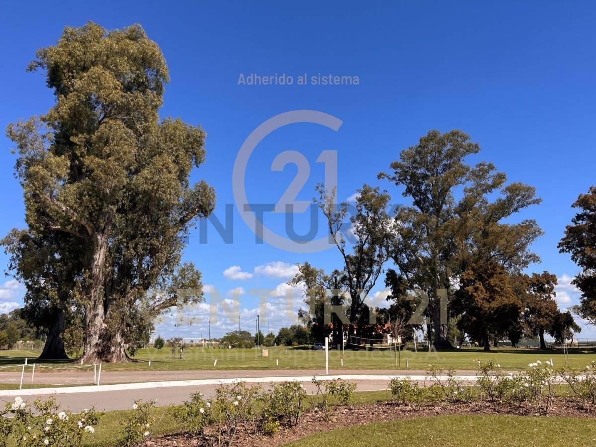 Foto de Lote a la Laguna en venta - San Luca - Canning, imagen 5