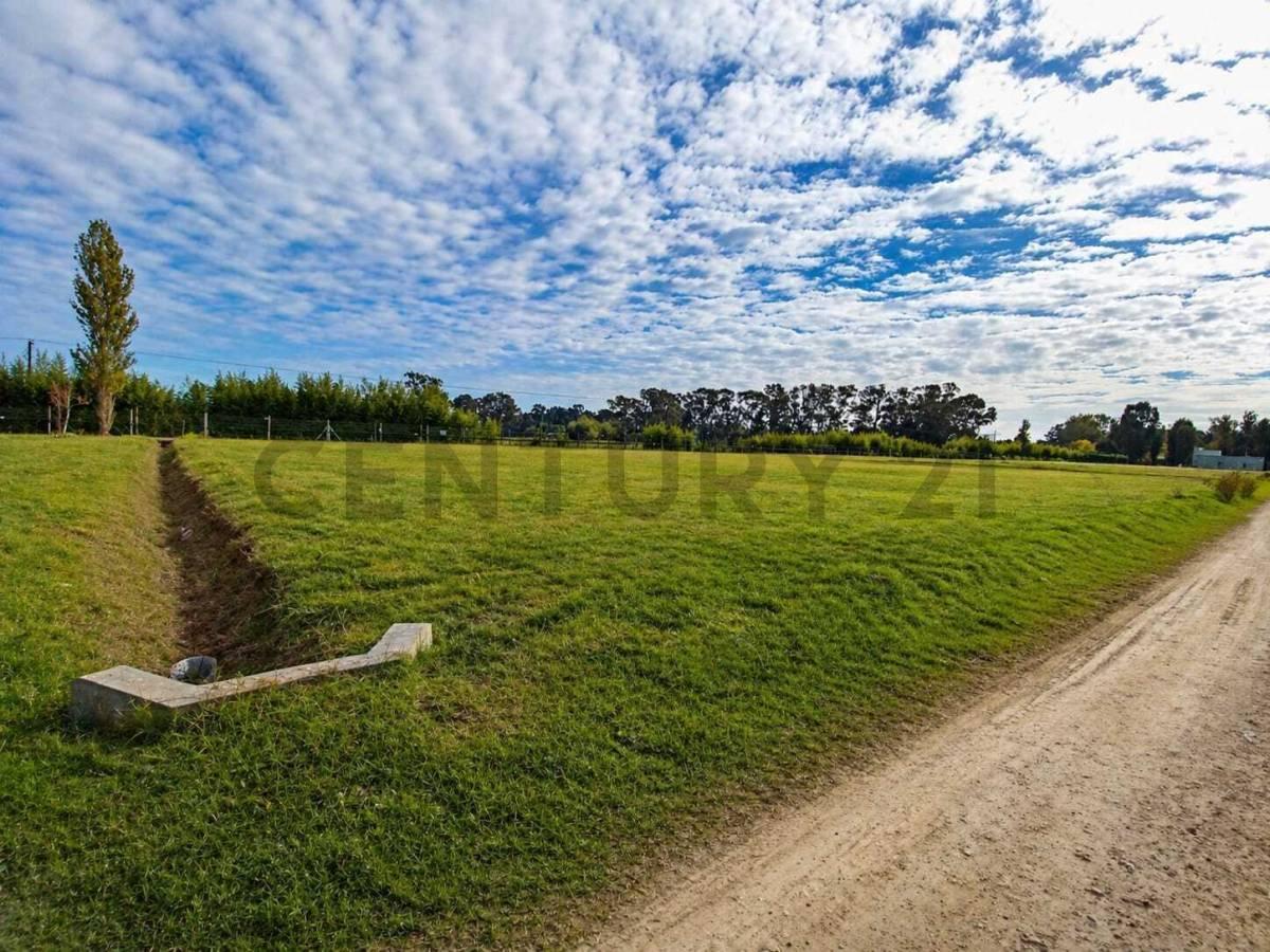 Foto de LOTE EN VENTA BARRIO CAMPO DAROMY - SAN VICENTE, imagen 3
