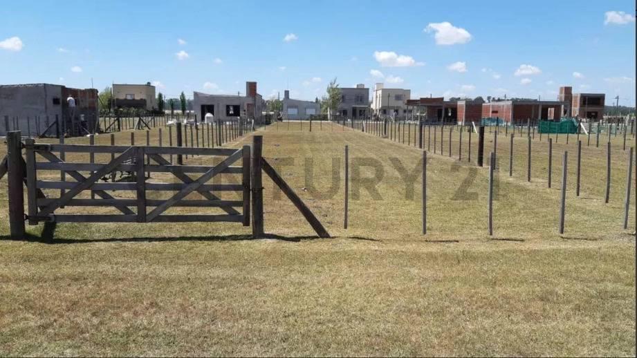 Foto de Lote en venta en Domselaar Chico, imagen 1