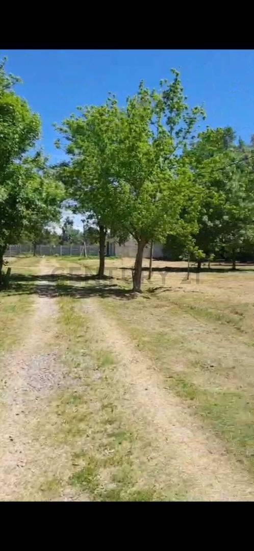 Foto de LOTE A LA VENTA EN BARRIO JORGE IBAÑEZ- SAN VICENTE, imagen 5