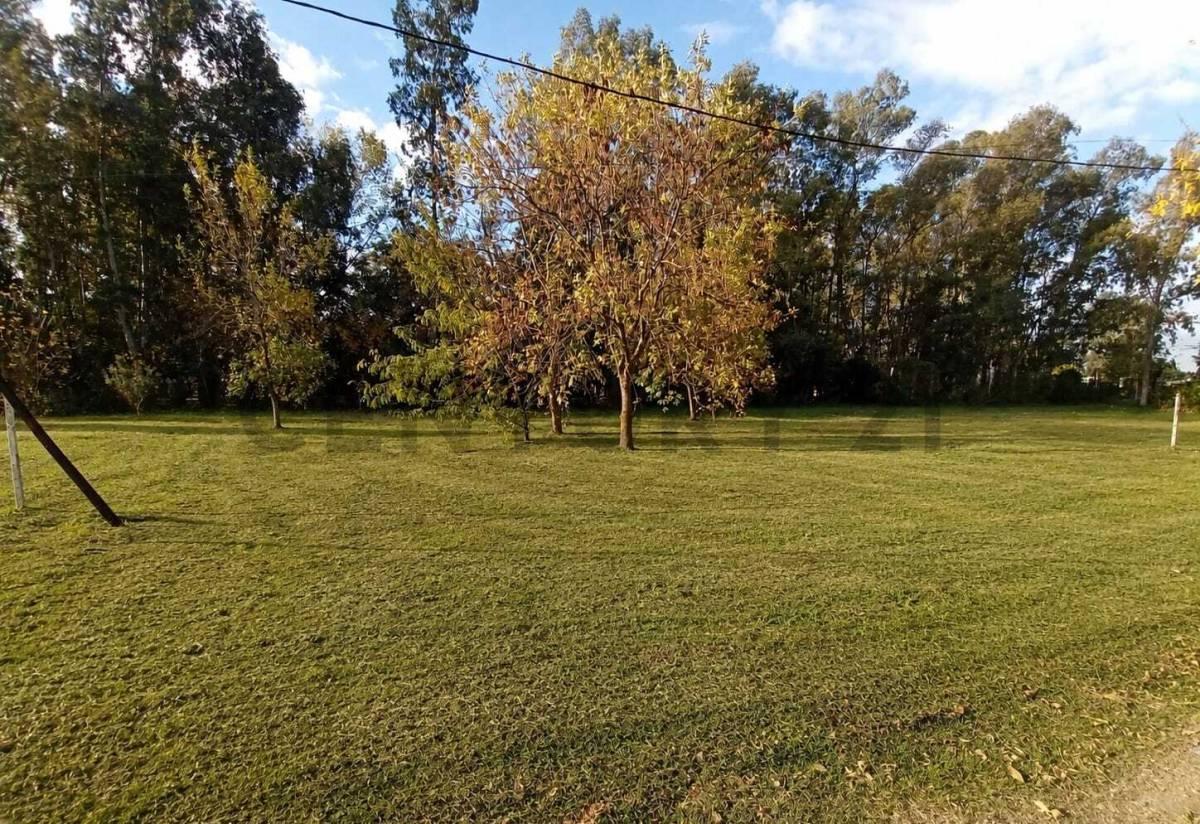 Foto de LOTE A A LA VENTA EN BARRIO PARQUE IBÁÑEZ- SAN VICENTE, imagen 5