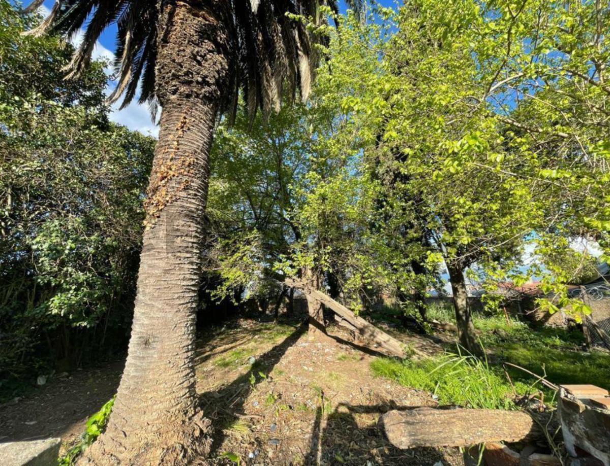 Foto de TERRENO EN VENTA EN EXCELENTE UBICACION GUERNICA CENTRO, imagen 3