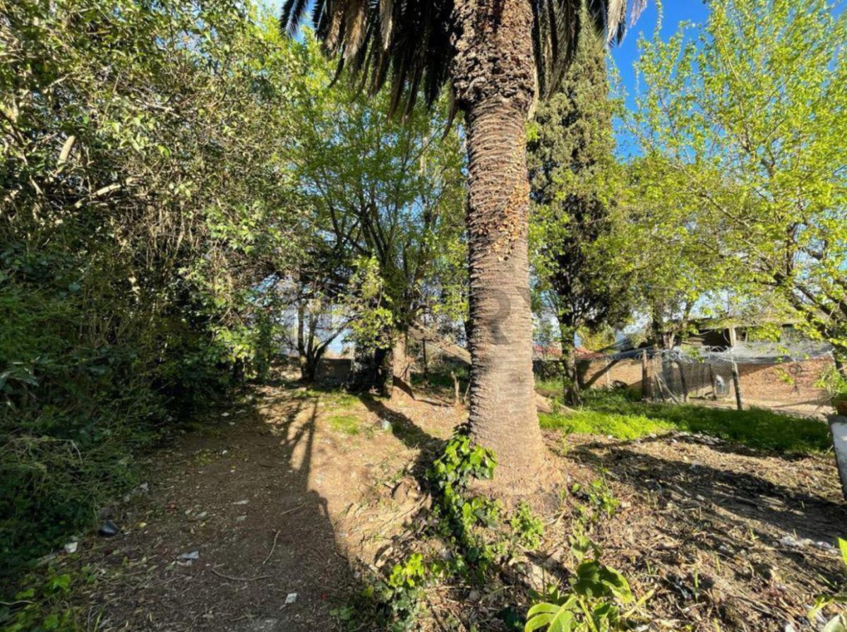 Foto de TERRENO EN VENTA EN EXCELENTE UBICACION GUERNICA CENTRO, imagen 2