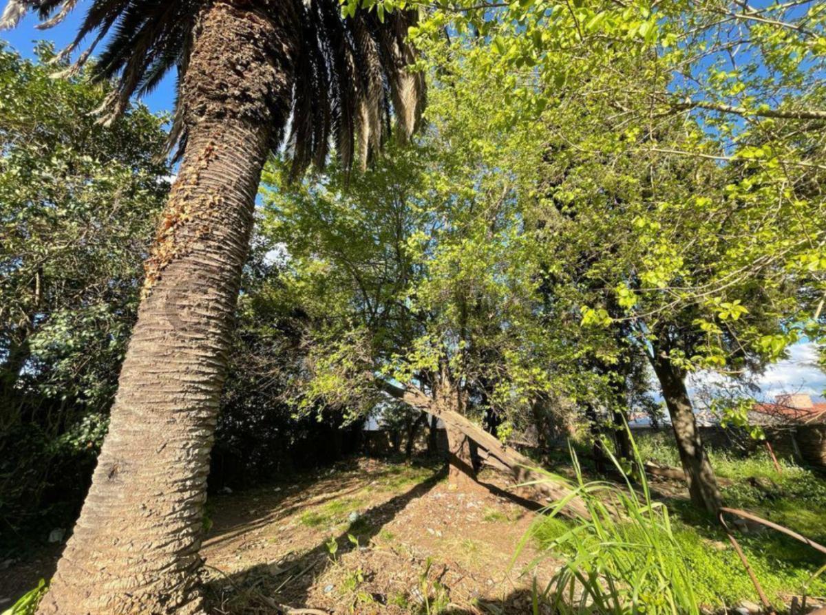 Foto de TERRENO EN VENTA EN EXCELENTE UBICACION GUERNICA CENTRO, imagen 1