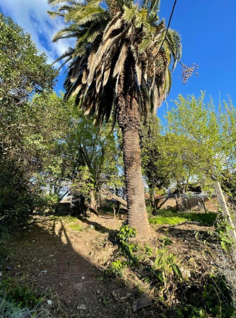 Foto de TERRENO EN VENTA EN EXCELENTE UBICACION GUERNICA CENTRO, imagen 4
