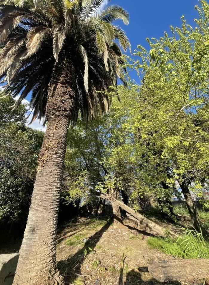 Foto de TERRENO EN VENTA EN EXCELENTE UBICACION - GUERNICA CENTRO, imagen 5