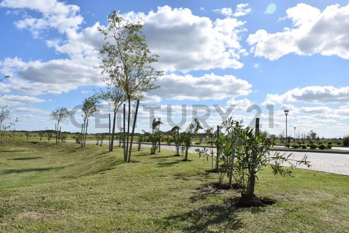 Foto de Lote interno en venta en Barrio Santa Clara al Sur - Canning, imagen 5