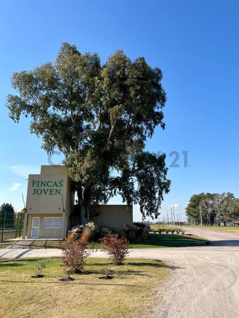 Foto de Venta de lote Barrio Fincas joven - San Vicente, imagen 2