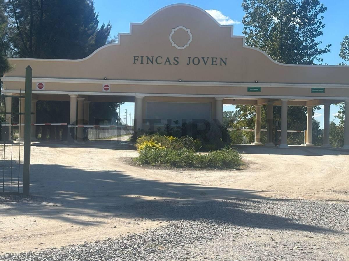 Foto de VENTA LOTE BARRIO PRIVADO FINCAS JOVEN SAN VICENTE-CANNING, imagen 1