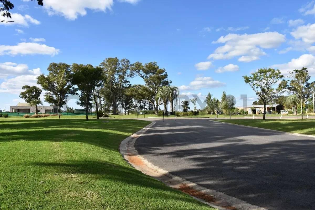 Foto de Lote en Venta San Lucas Canning - San Vicente, imagen 5