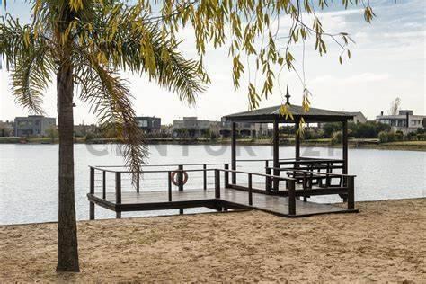 Foto de LOTE EN VENTA EN DAMASIA AL SUR E1, imagen 4