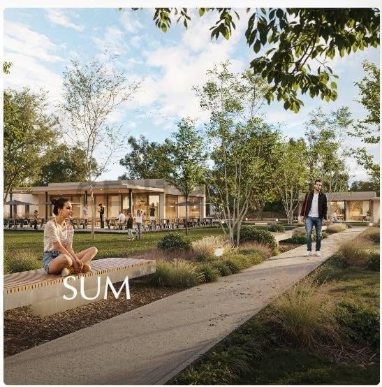 Foto de LOTE EN VENTA EN DAMASIA AL SUR E1, imagen 1