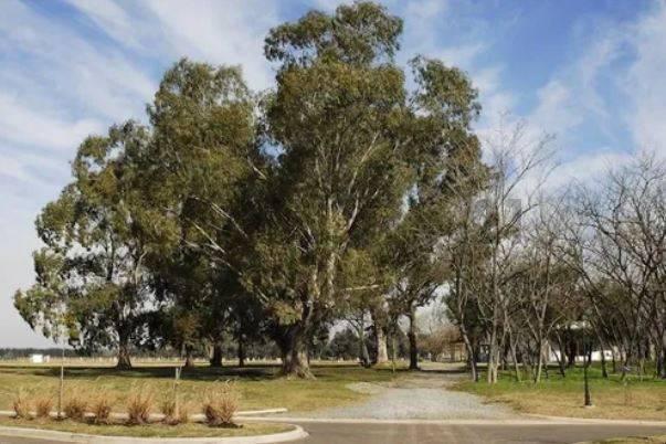 Foto de LOTE EN VENTA DE 1000 MTS EN BARRIO SANTA INES - CANNING FINANCIA, imagen 2
