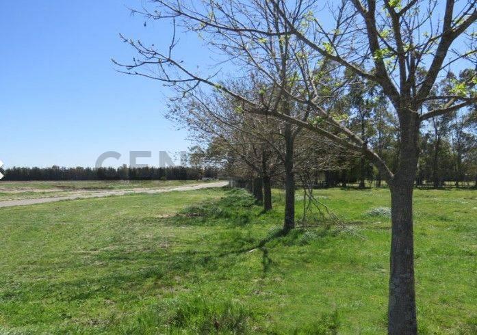 Foto de LOTE EN VENTA DE 1000 MTS EN BARRIO SANTA INES - CANNING FINANCIA, imagen 4