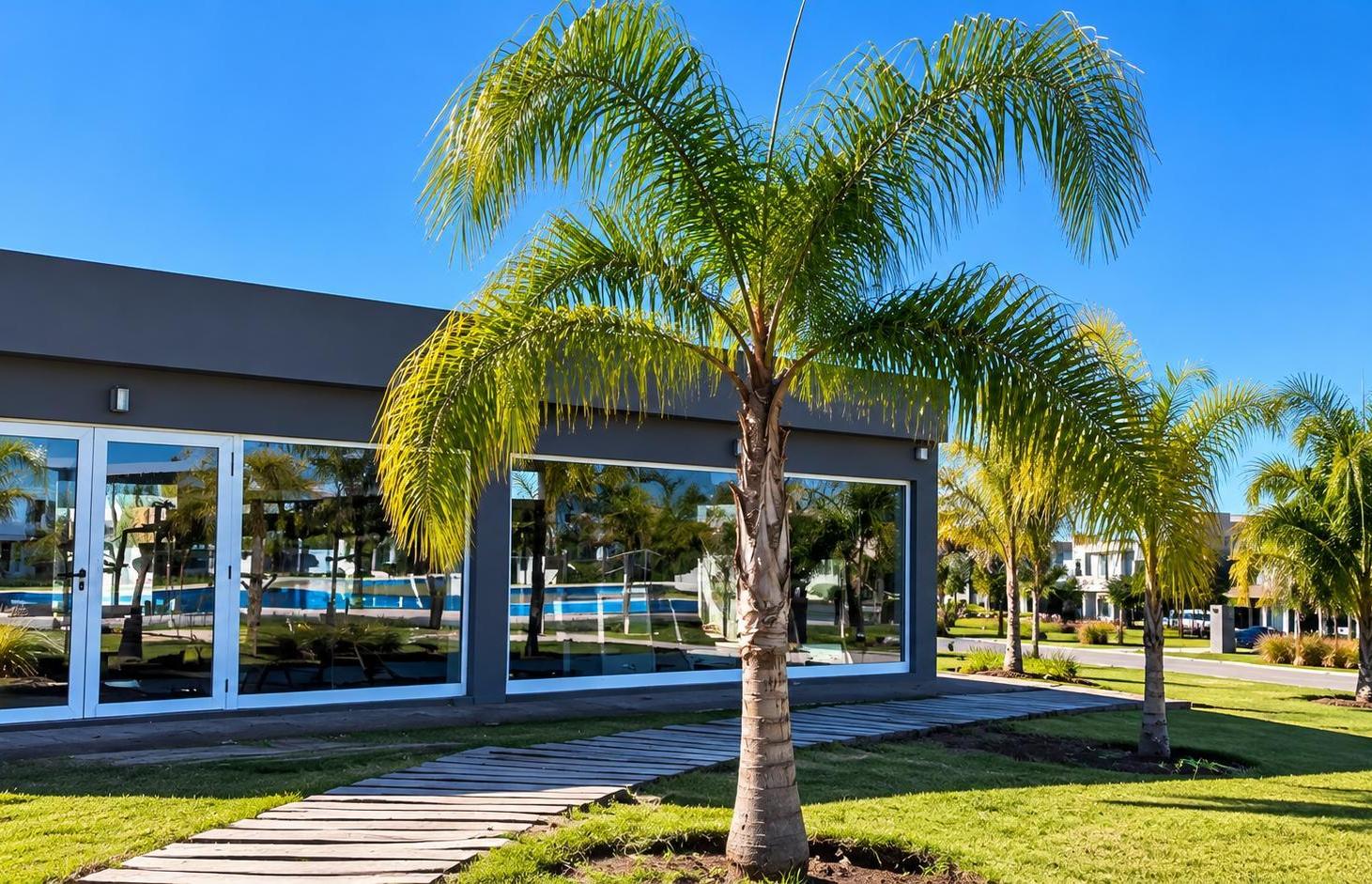 Foto de VENTA DE LOTE - LAGOS DE CANNING I, imagen 5