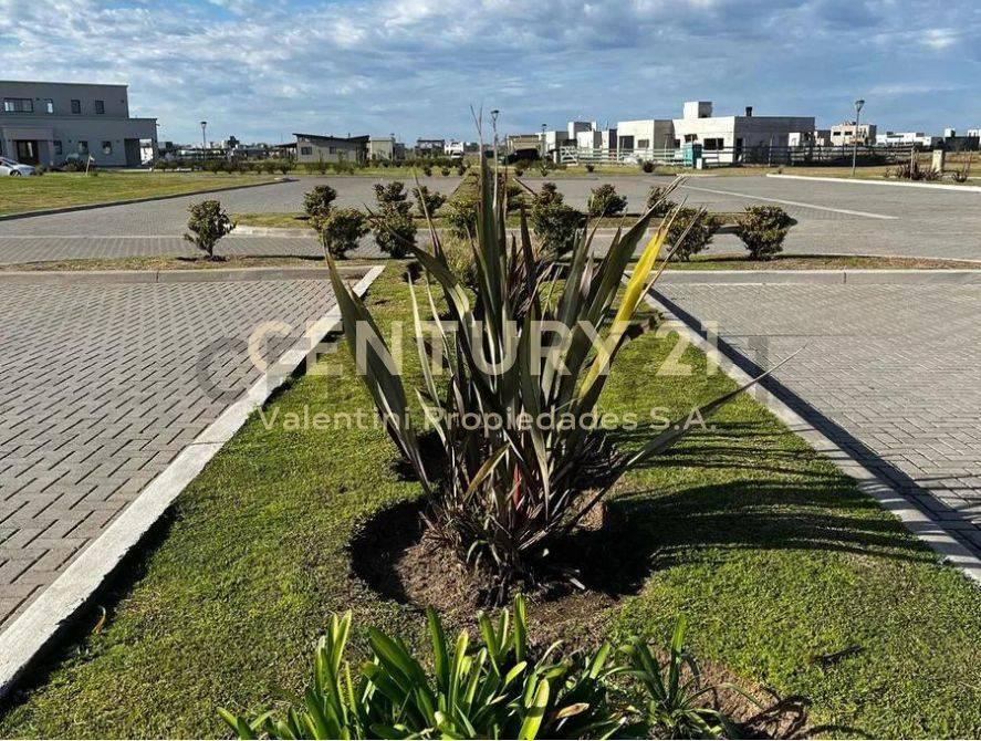 Foto de Lote en venta, imagen 4