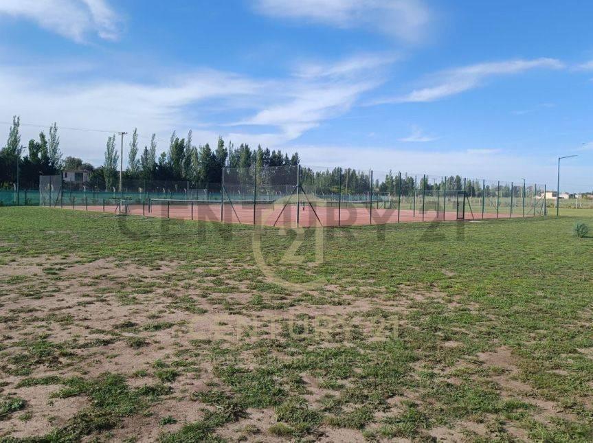 Foto de Lote en venta, imagen 4