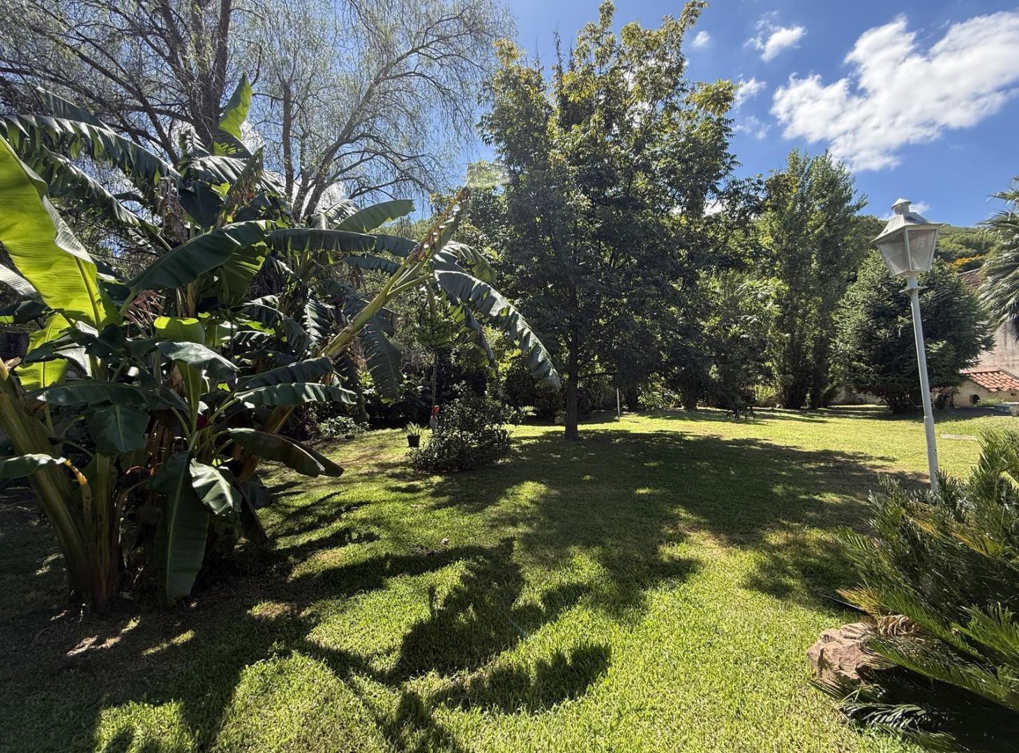 Foto de Terreno comercial, ideal para desarrollo inmobiliario. Excelente, imagen 3