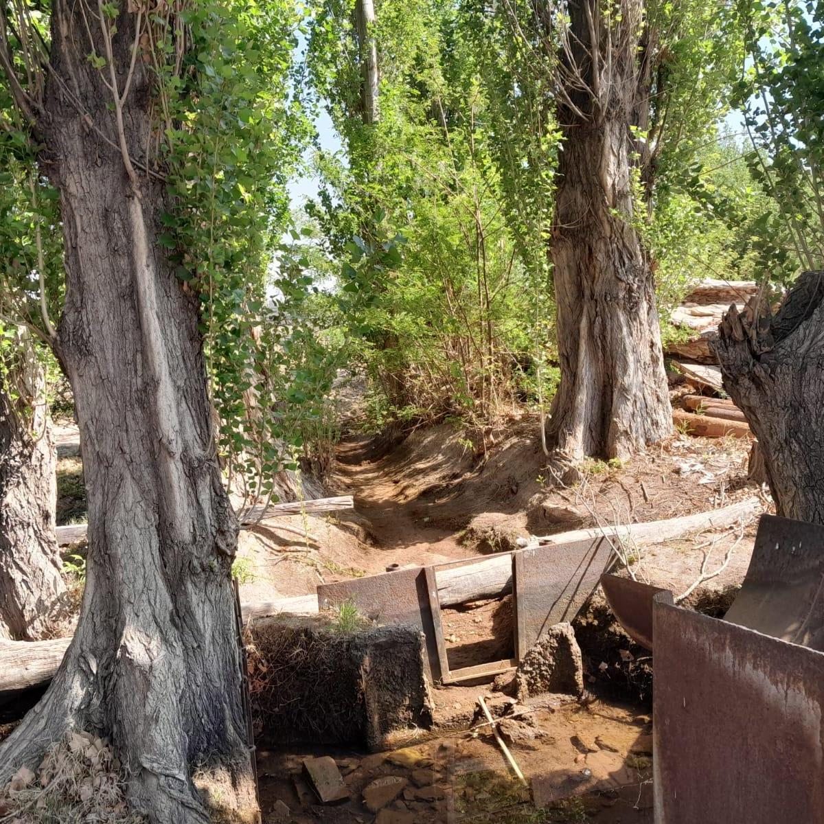 Finca Ugarteche Luján de Cuyo Mendoza 2