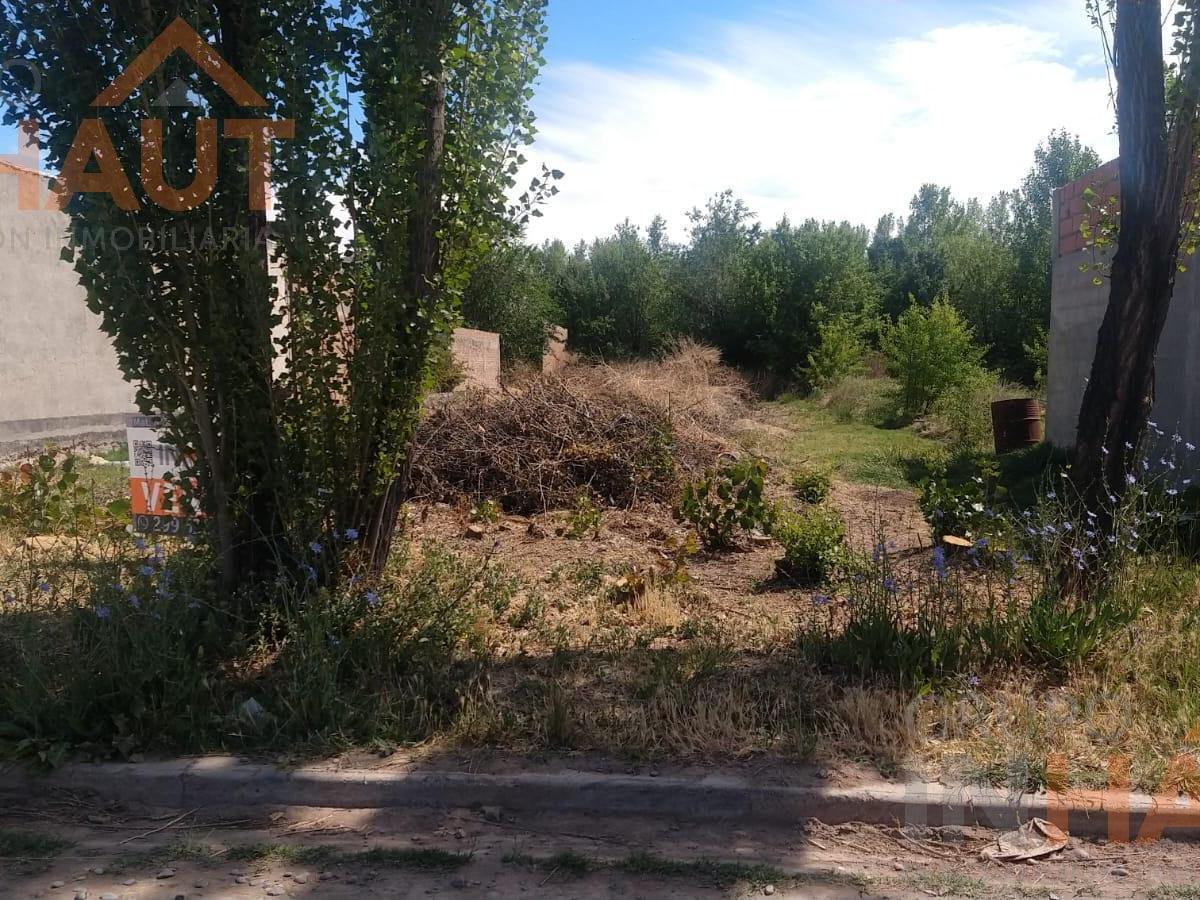 Terreno en Venta 3