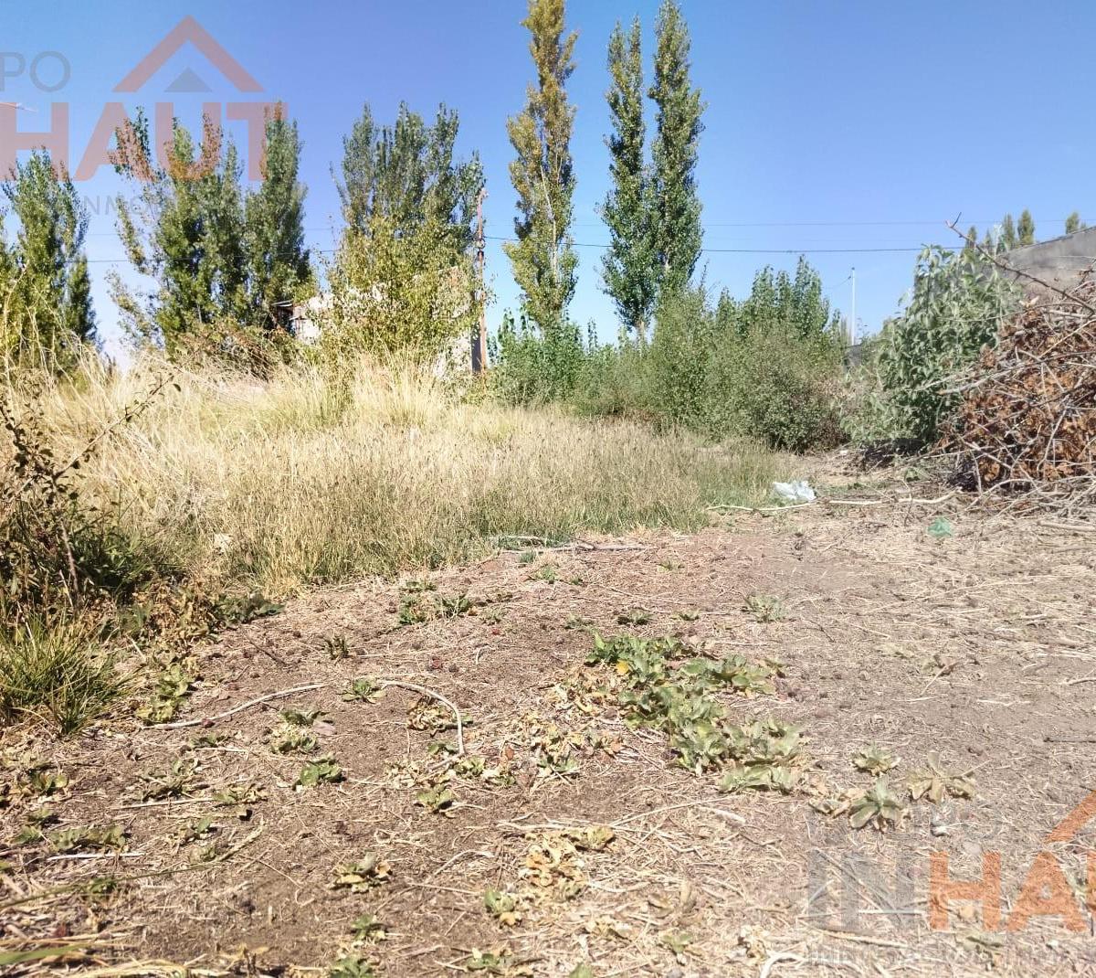 Terreno en Venta 5