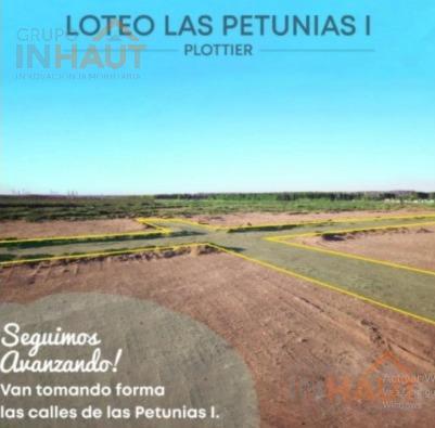 Terreno en B° Las Petunias - Plottier 4