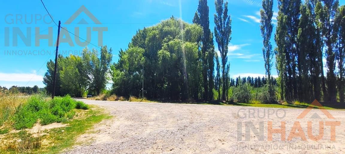 Foto de Terreno en VENTA Vista Alegre, imagen 3