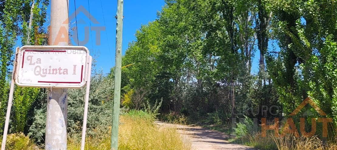 Foto de Terreno en VENTA Vista Alegre, imagen 5