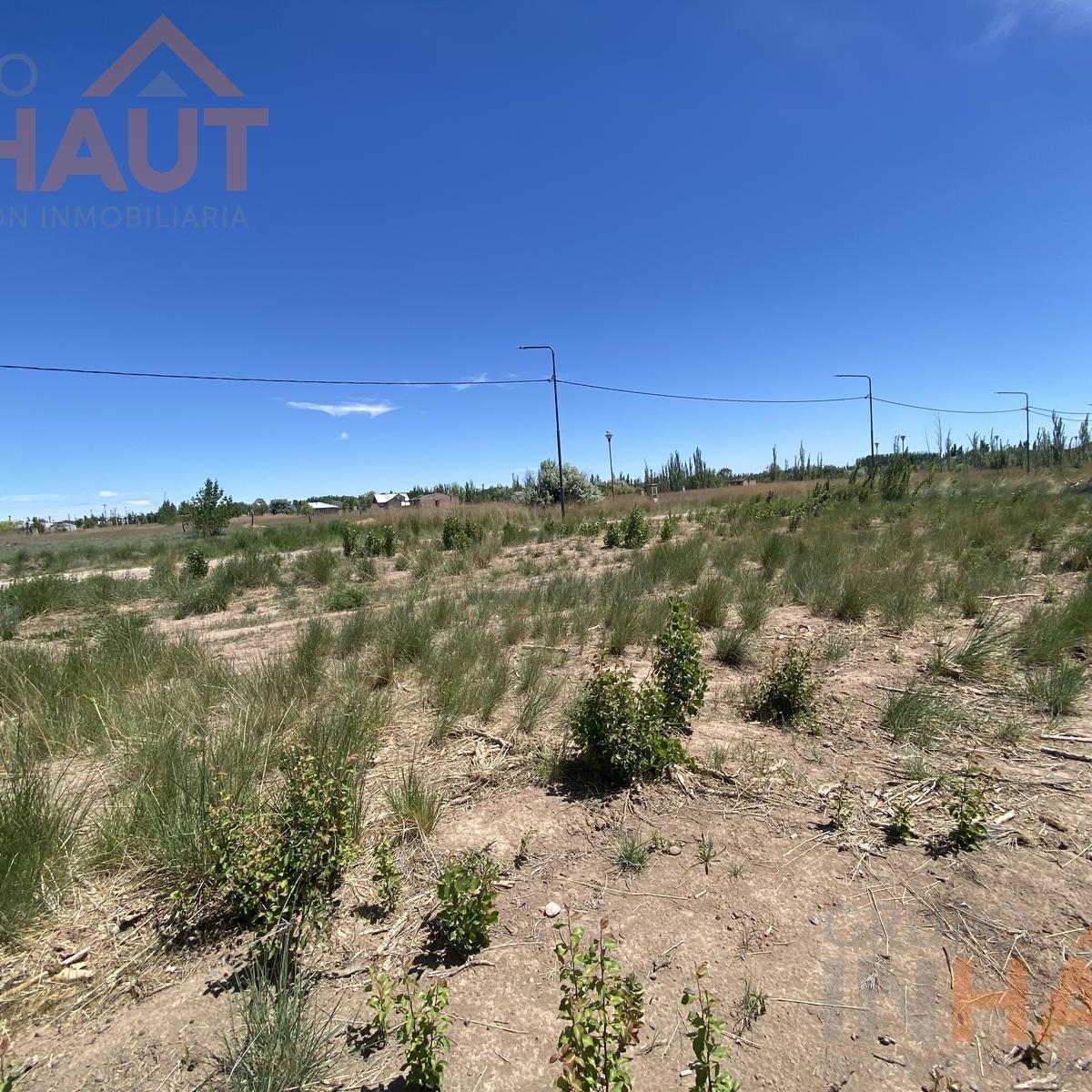 Venta en Terreno Fernandez Oro 3