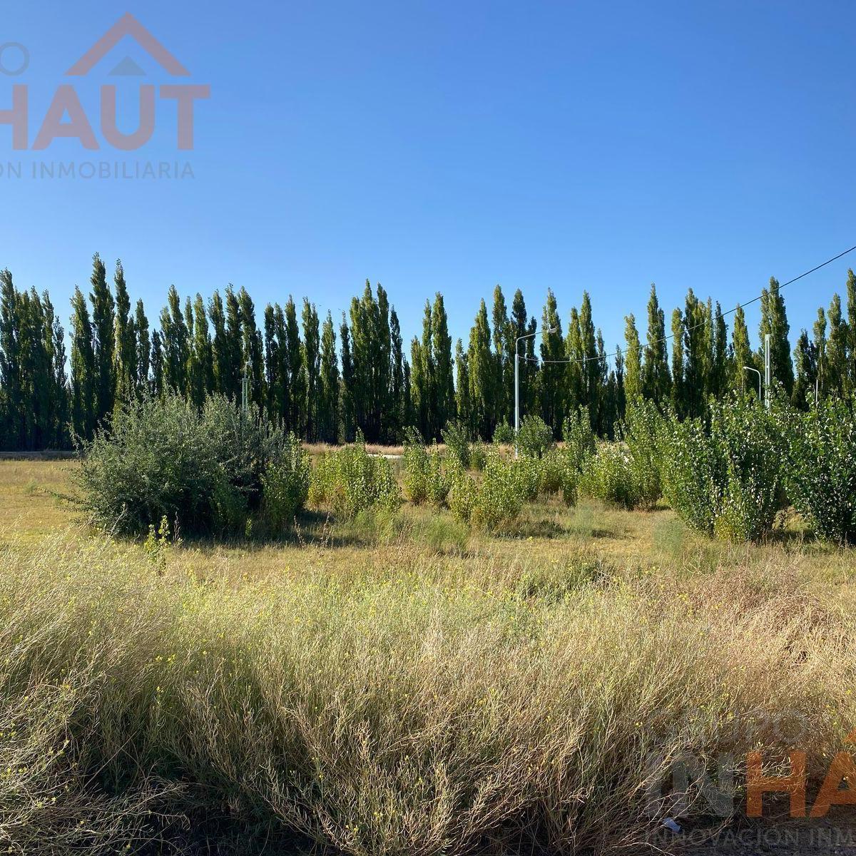Terreno en Jardines de Plottier 3
