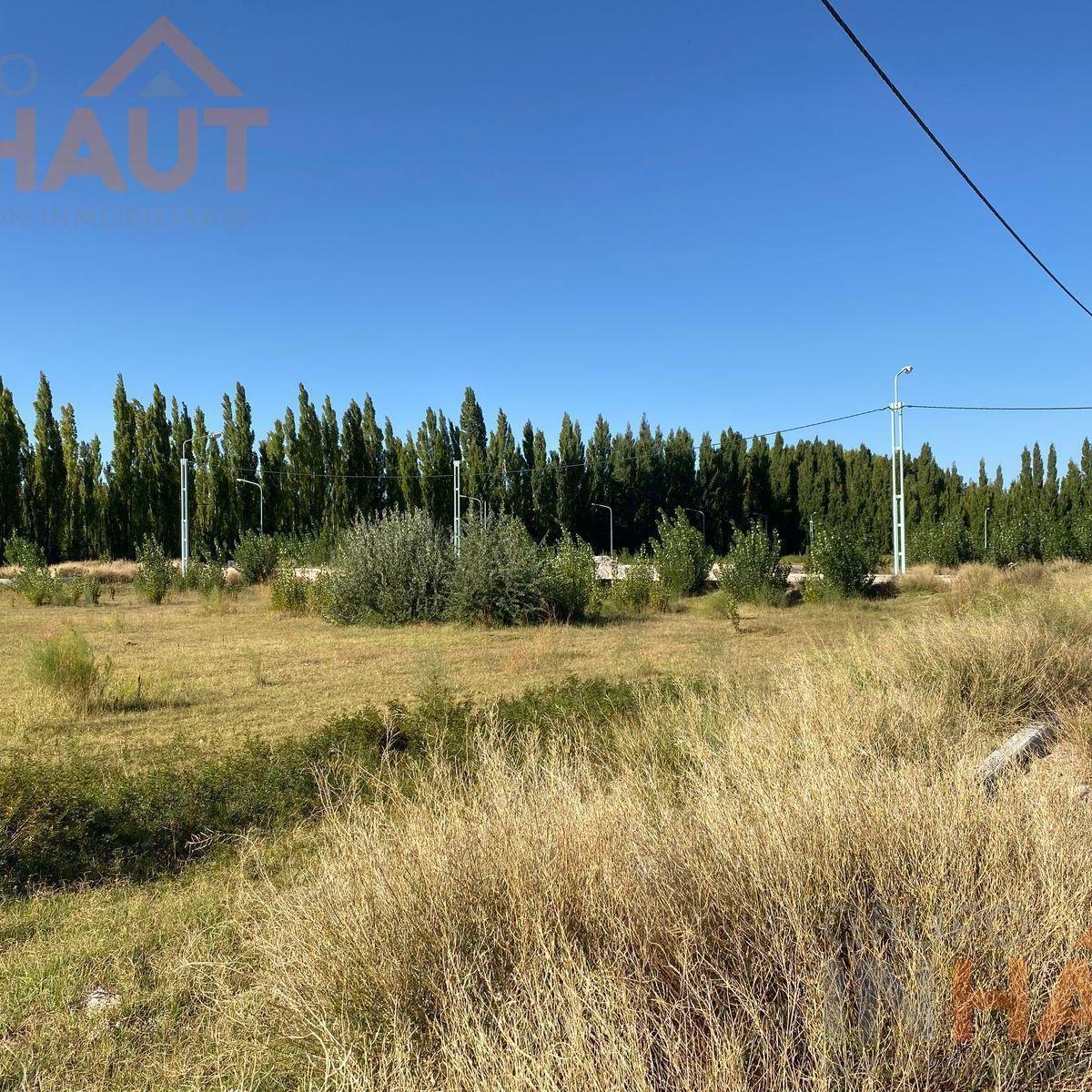 Terreno en Jardines de Plottier 5