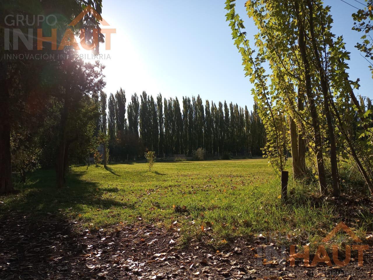 Chacra en Cinco Saltos