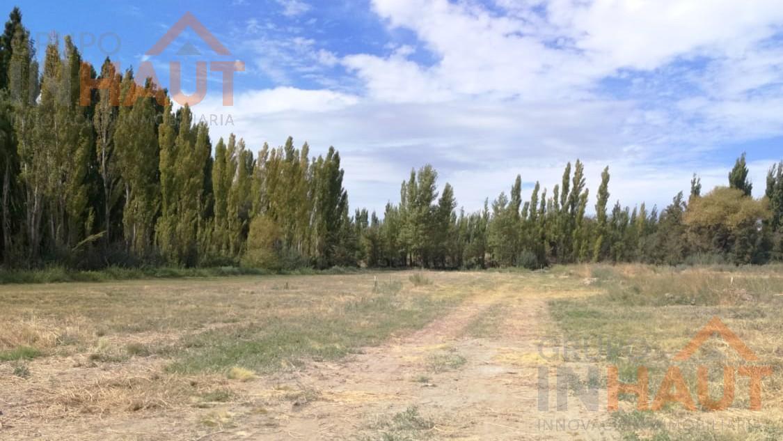 Foto de Terreno en VENTA, imagen 3
