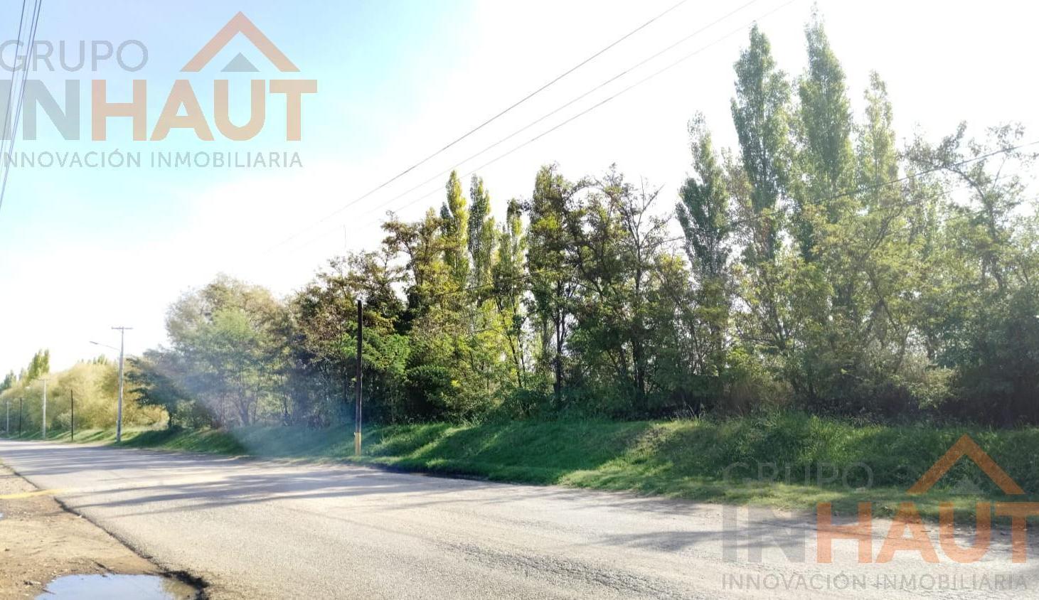 Foto de Terreno en VENTA, imagen 4