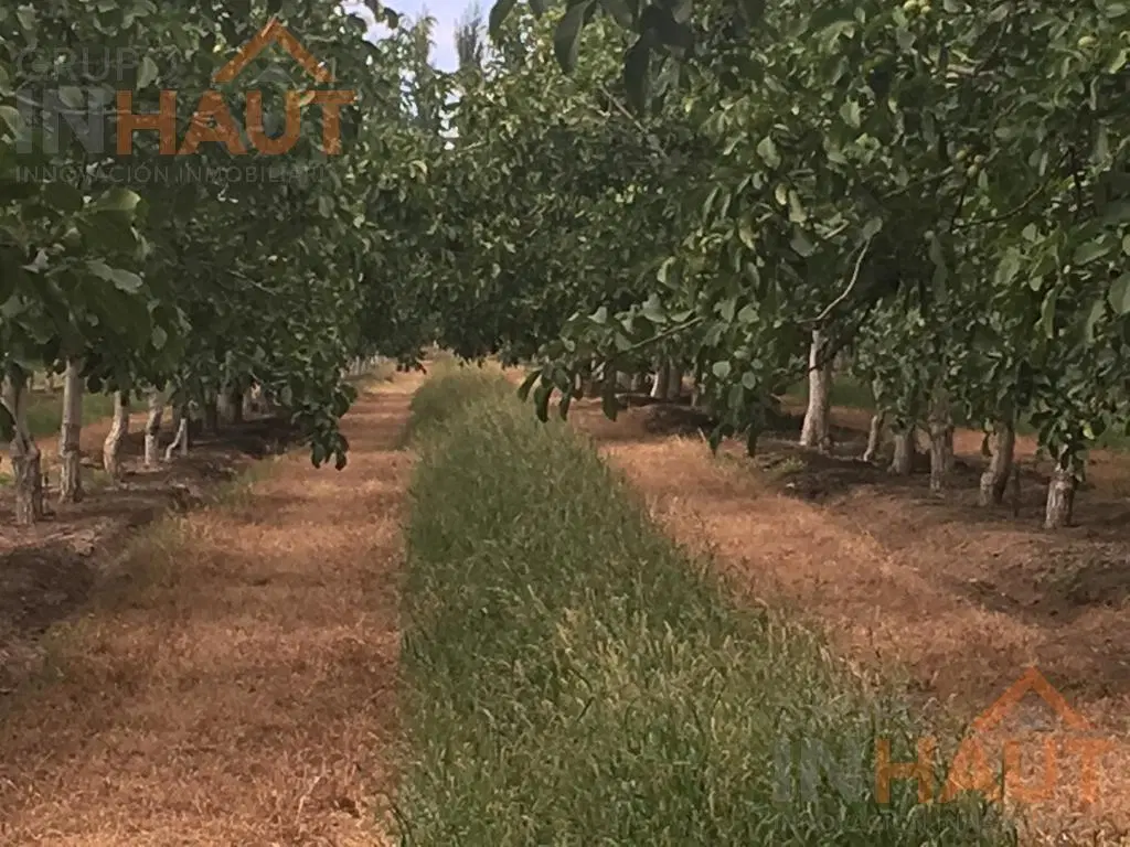 Venta Chacra General Roca 7.5Ha 2