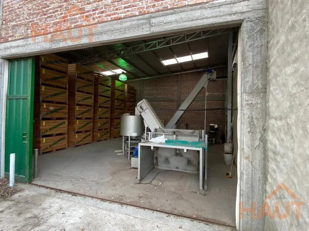 Venta Chacra General Roca 7.5Ha 5
