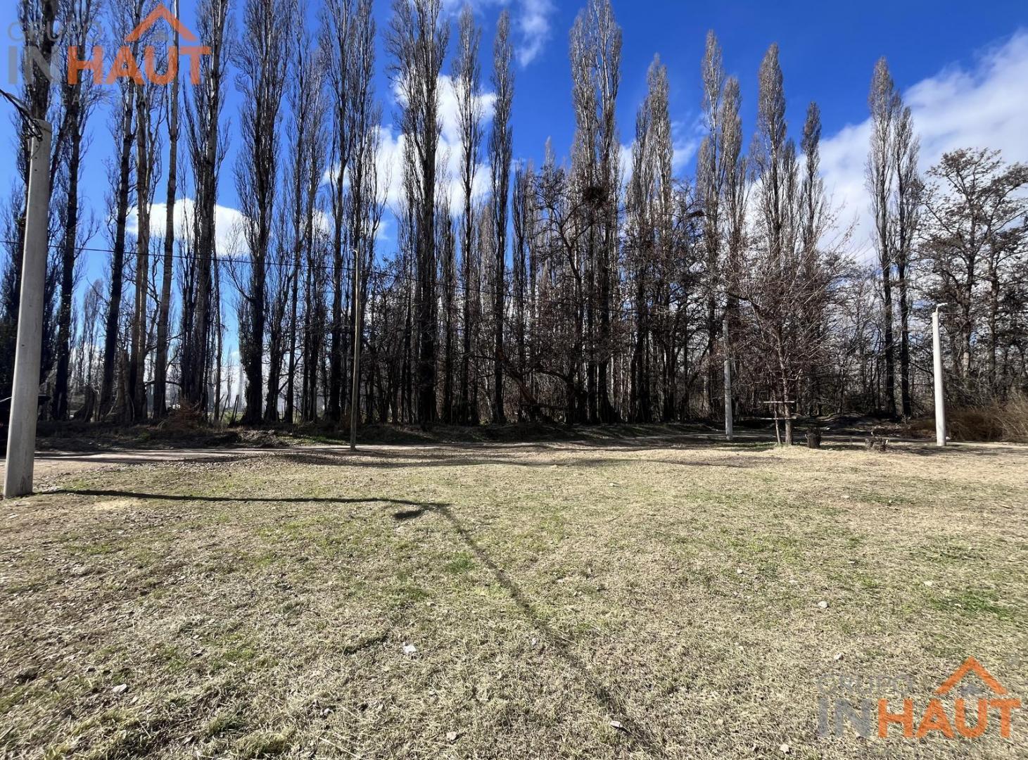 Foto de VENTA DE TERRENO EN PLOTTIER, imagen 1