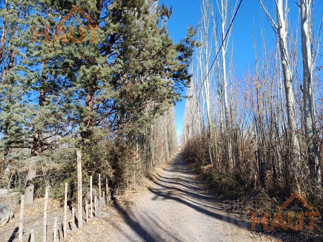 Foto de Terreno en Cinco Saltos, imagen 4