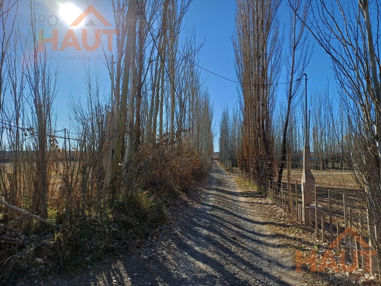 Foto de Terreno en Cinco Saltos, imagen 1