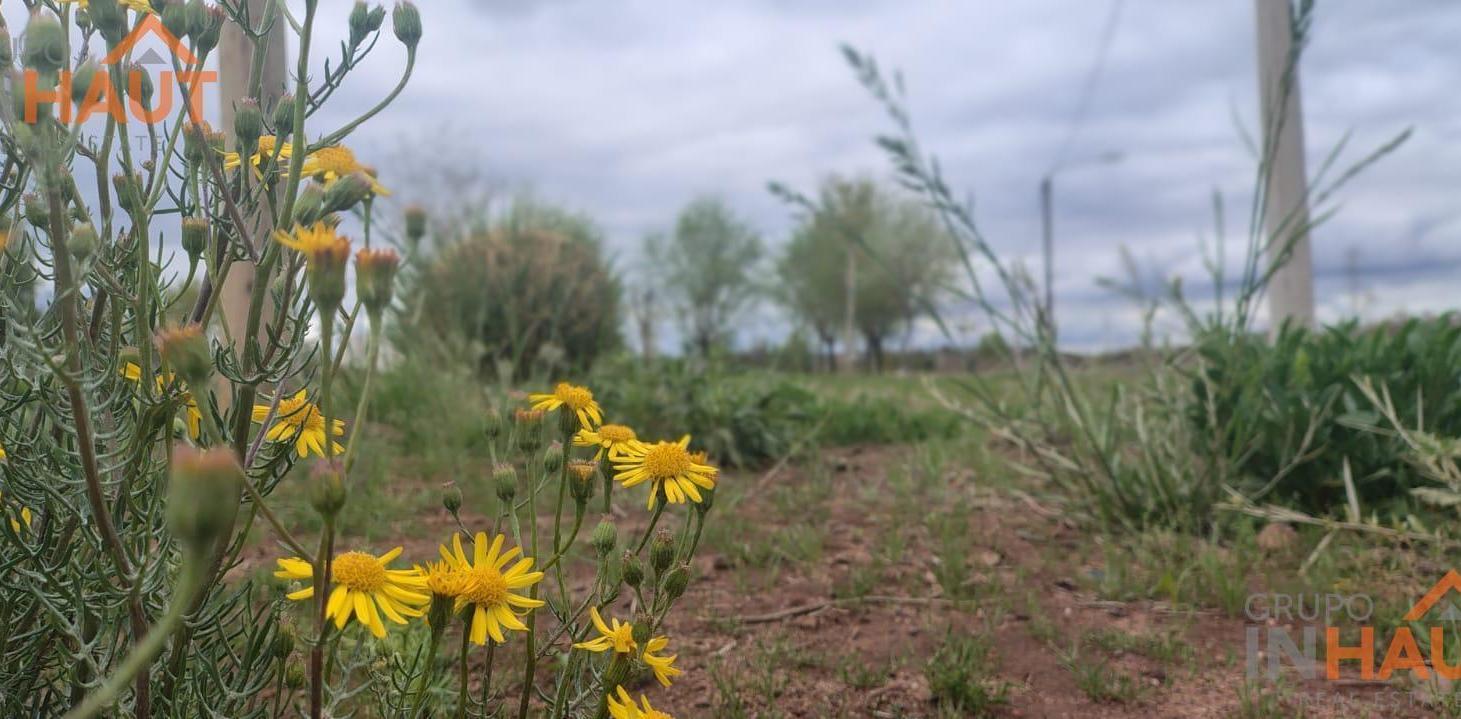 Foto de Terreno en Villa El Chocón, imagen 2