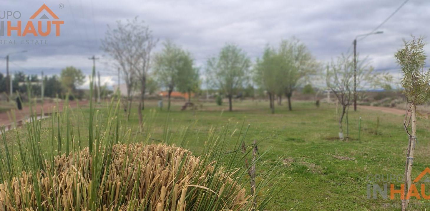 Foto de Terreno en Villa El Chocón, imagen 4