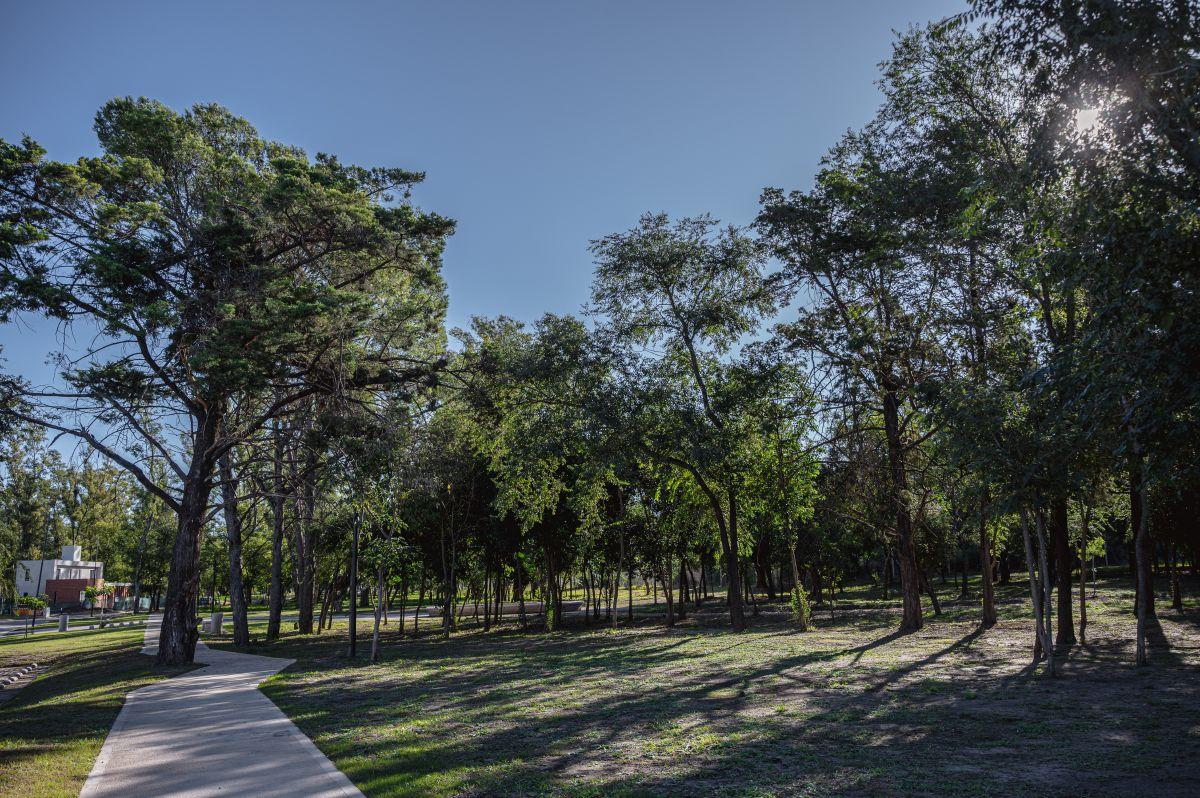 Foto de Lote individual a la venta en Nuevo Malagueño | 524 m² | Sector Este, imagen 5
