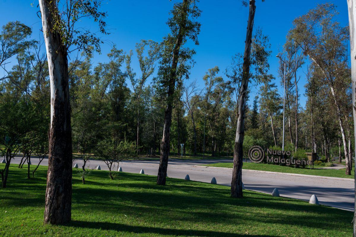 Foto de Lote individual en Nuevo Malagueño | 250 m² | Sector Oeste, imagen 4