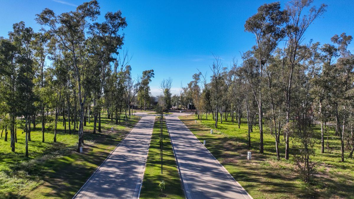 Foto de Lote Residencial de 352 m² en sector consolidado de Nuevo Malagueño, imagen 3